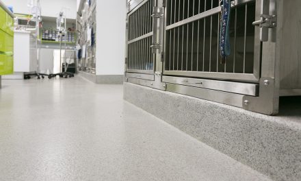 Światowy Dzień Lekarzy Weterynarii, 26 kwietnia 2025 r. Posadzki żywiczne, które sprawdzają się w lecznicach dla zwierząt.